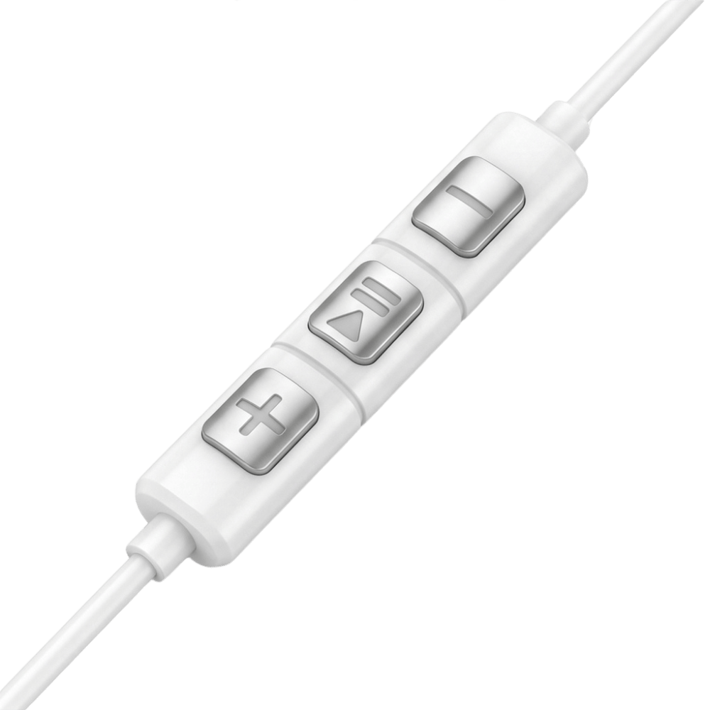 Wired In-Ear Earphones with Built-In Mic 022202